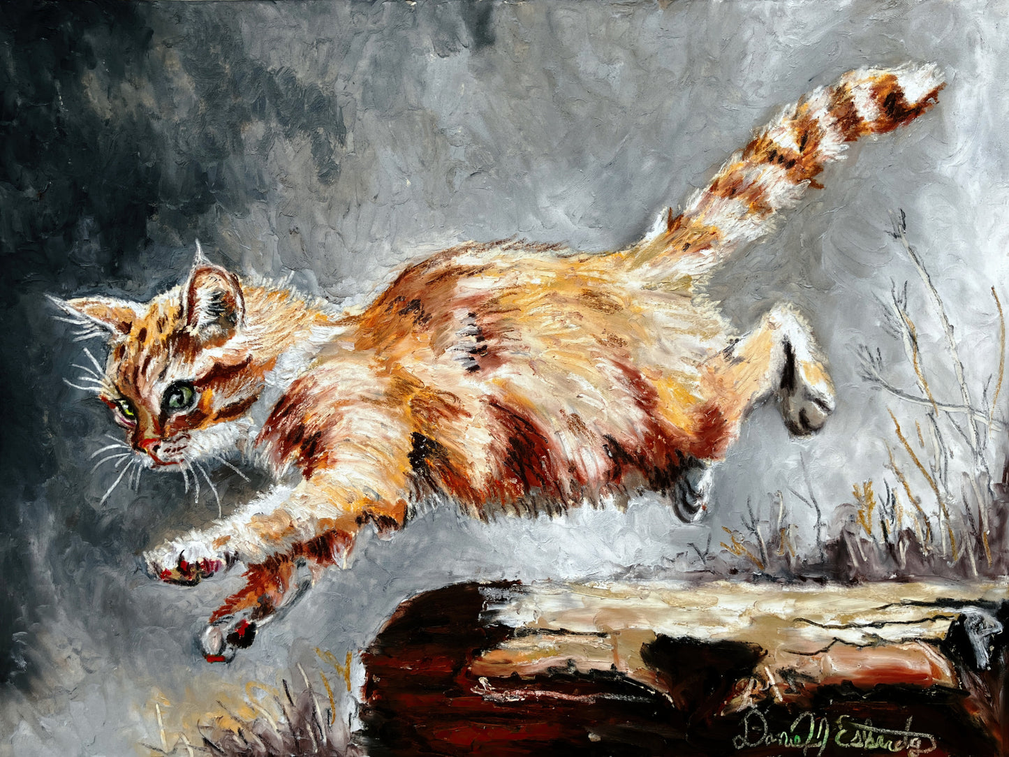 The Adventures of Orange Cat