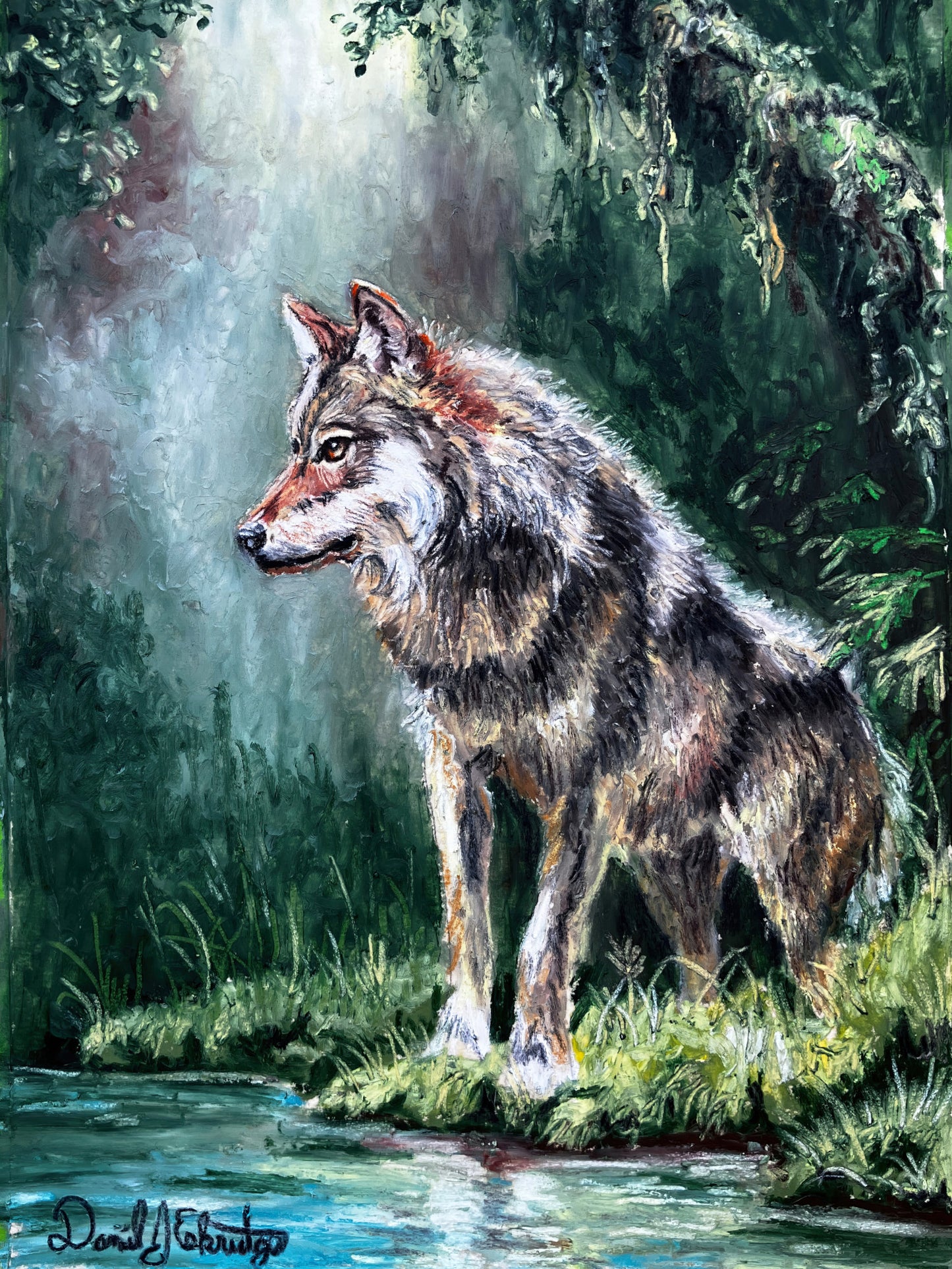 Wolf by a Forest Pond