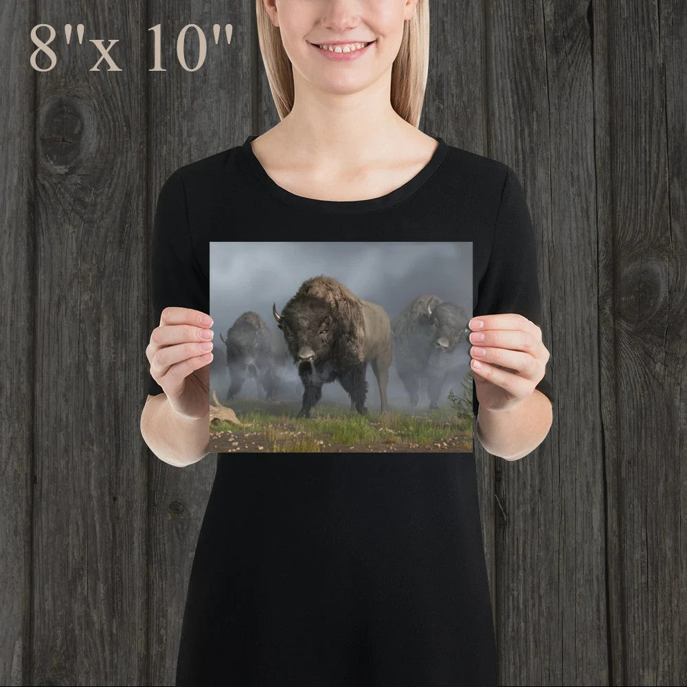 The Buffalo Vanguard