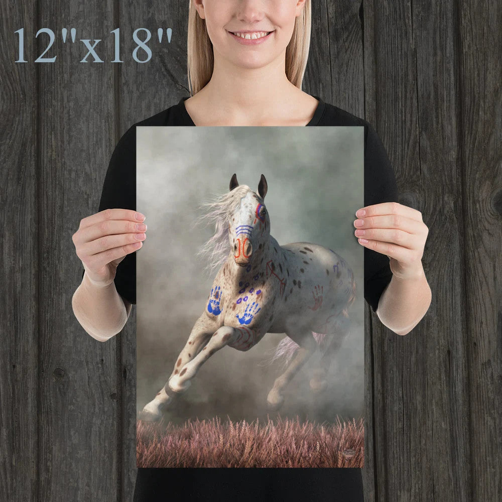 Appaloosa Warrior Horse
