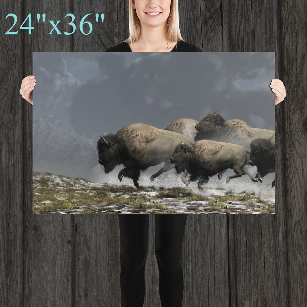 Bison Stampede