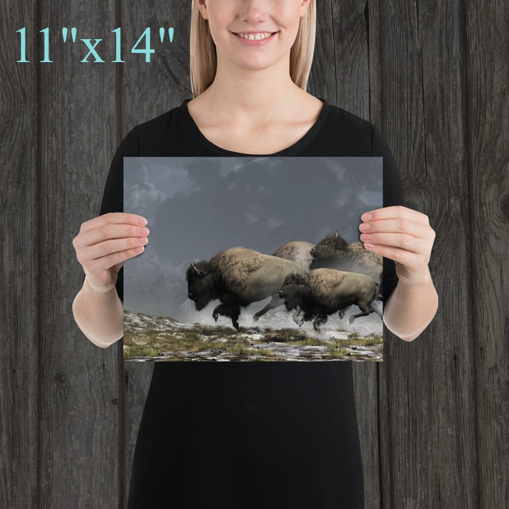 Bison Stampede