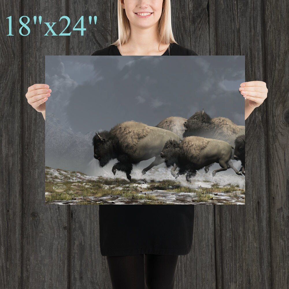 Bison Stampede