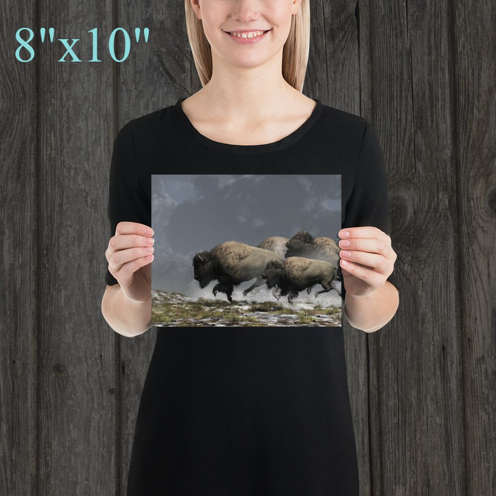 Bison Stampede