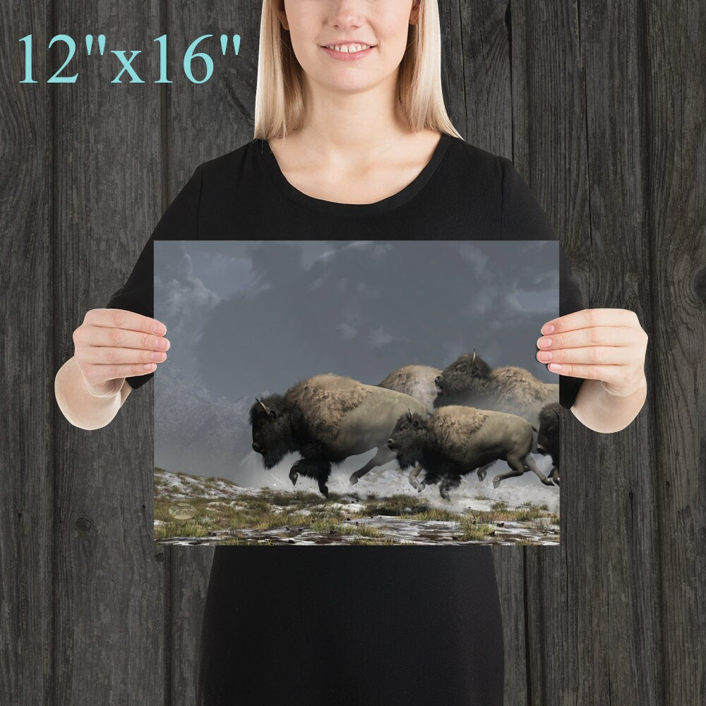 Bison Stampede