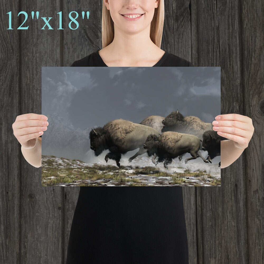 Bison Stampede