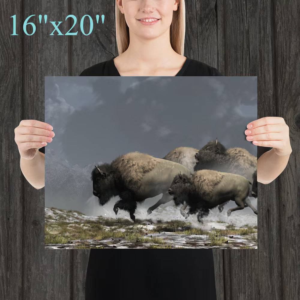 Bison Stampede