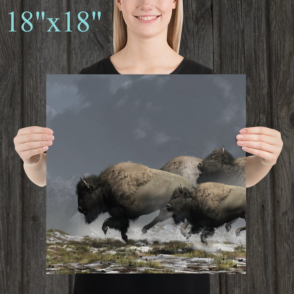 Bison Stampede