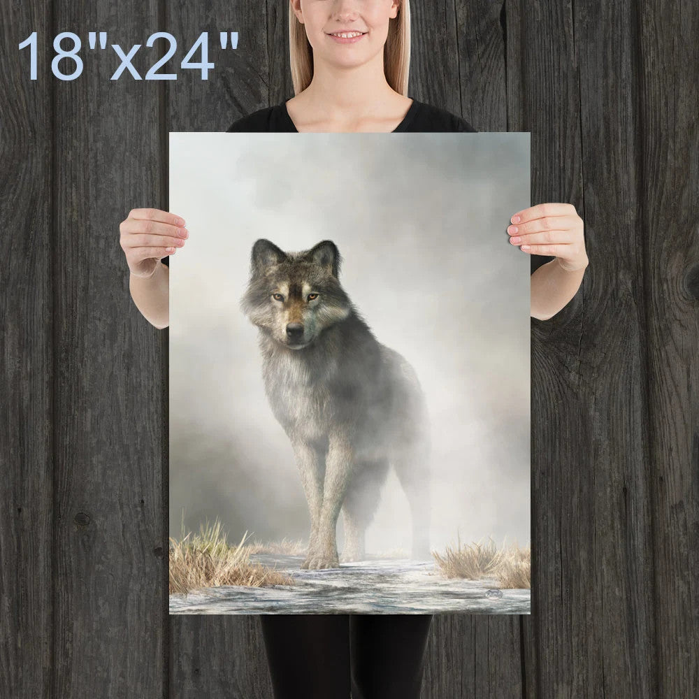Gray Wolf in Fog