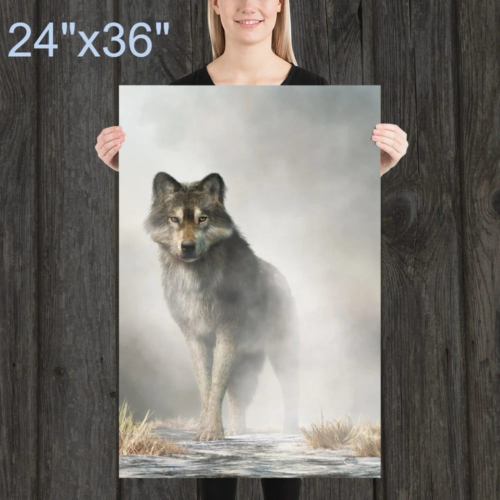 Gray Wolf in Fog