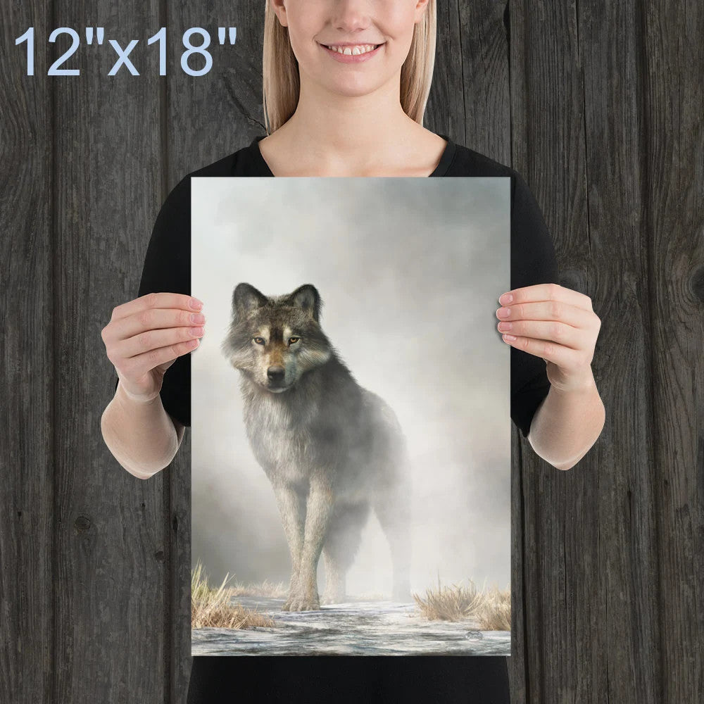 Gray Wolf in Fog