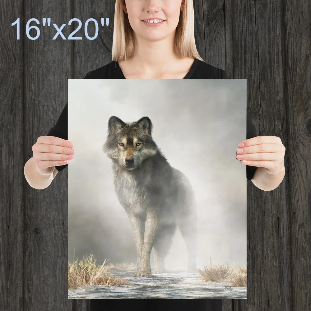 Gray Wolf in Fog