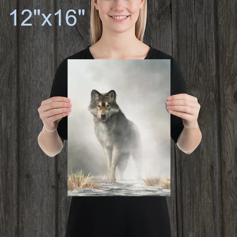 Gray Wolf in Fog