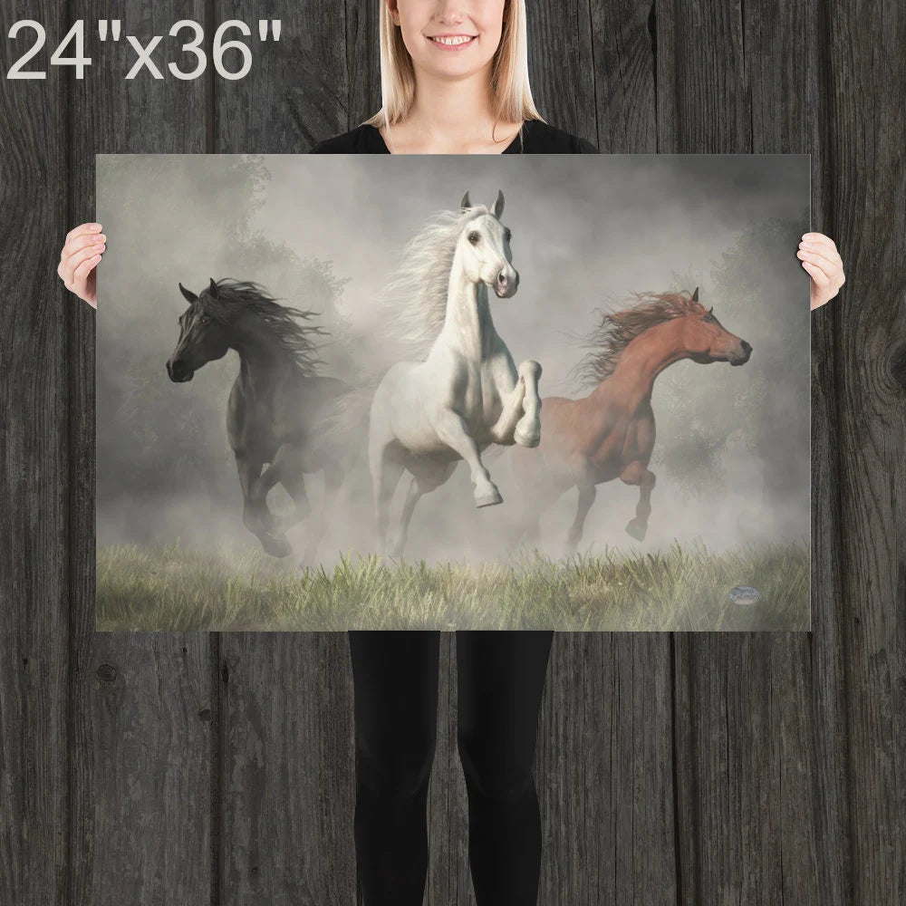 Arabian Horses