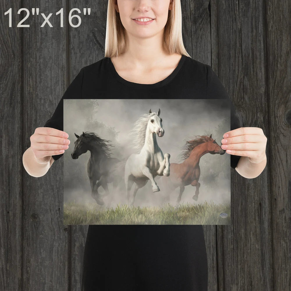 Arabian Horses
