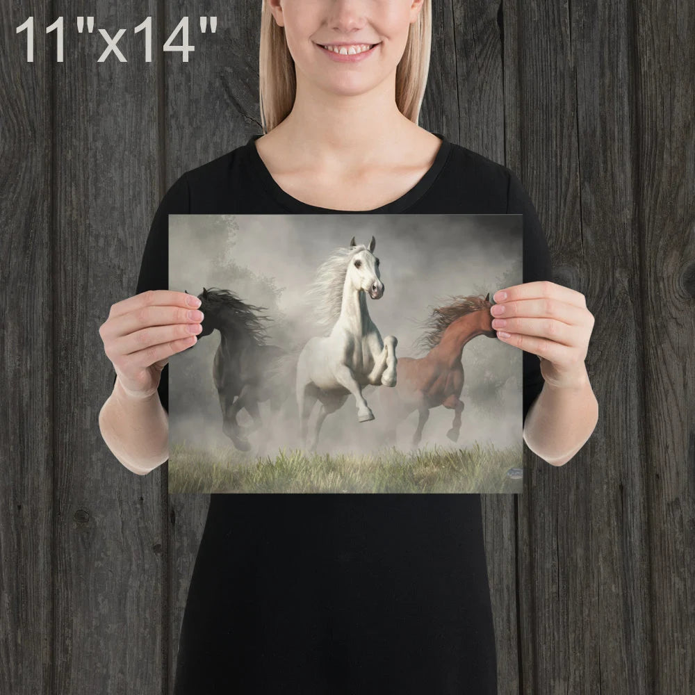 Arabian Horses