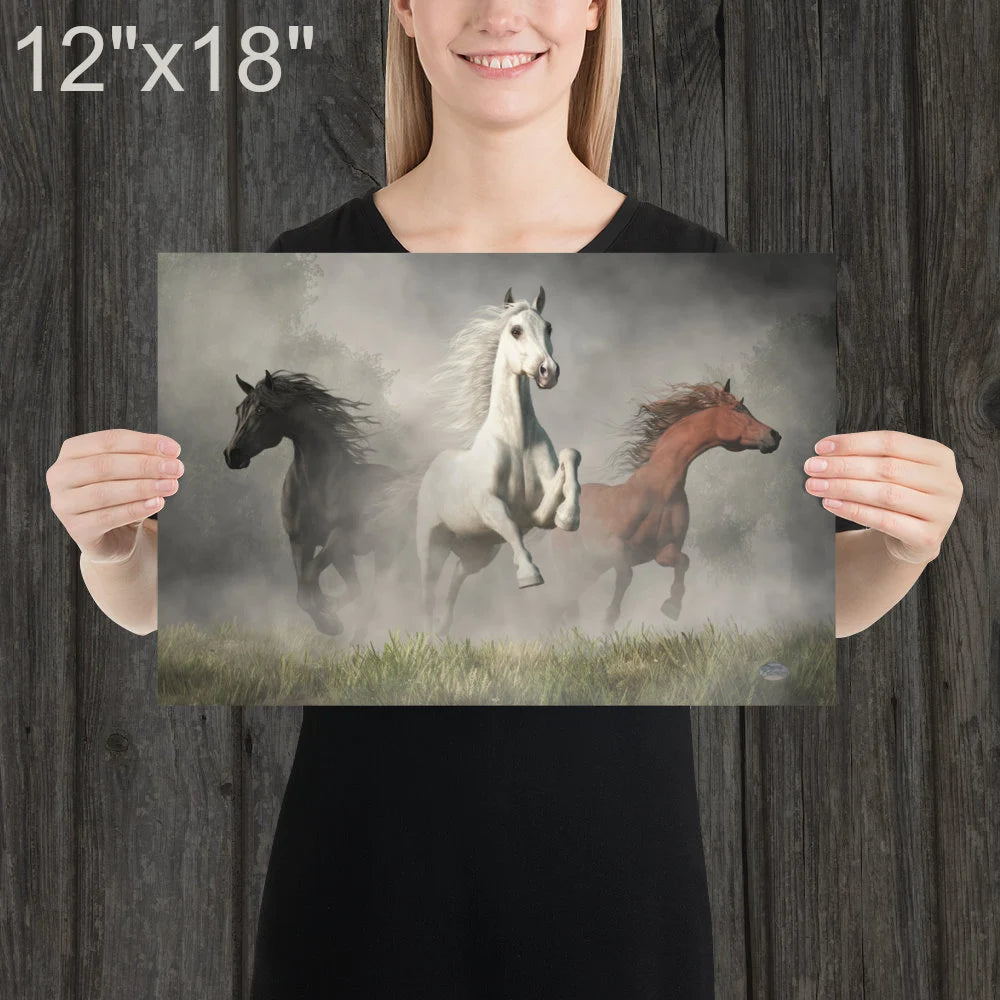 Arabian Horses