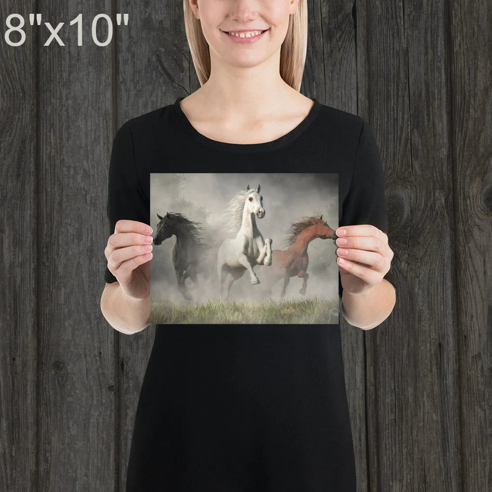 Arabian Horses