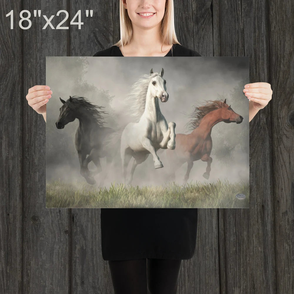 Arabian Horses