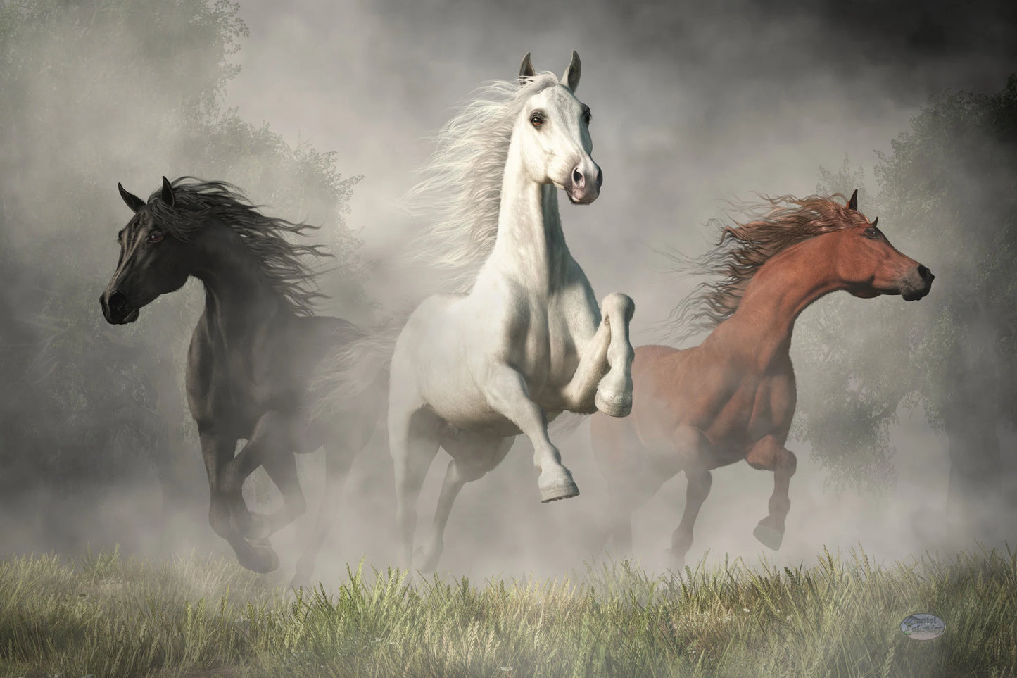 Arabian Horses