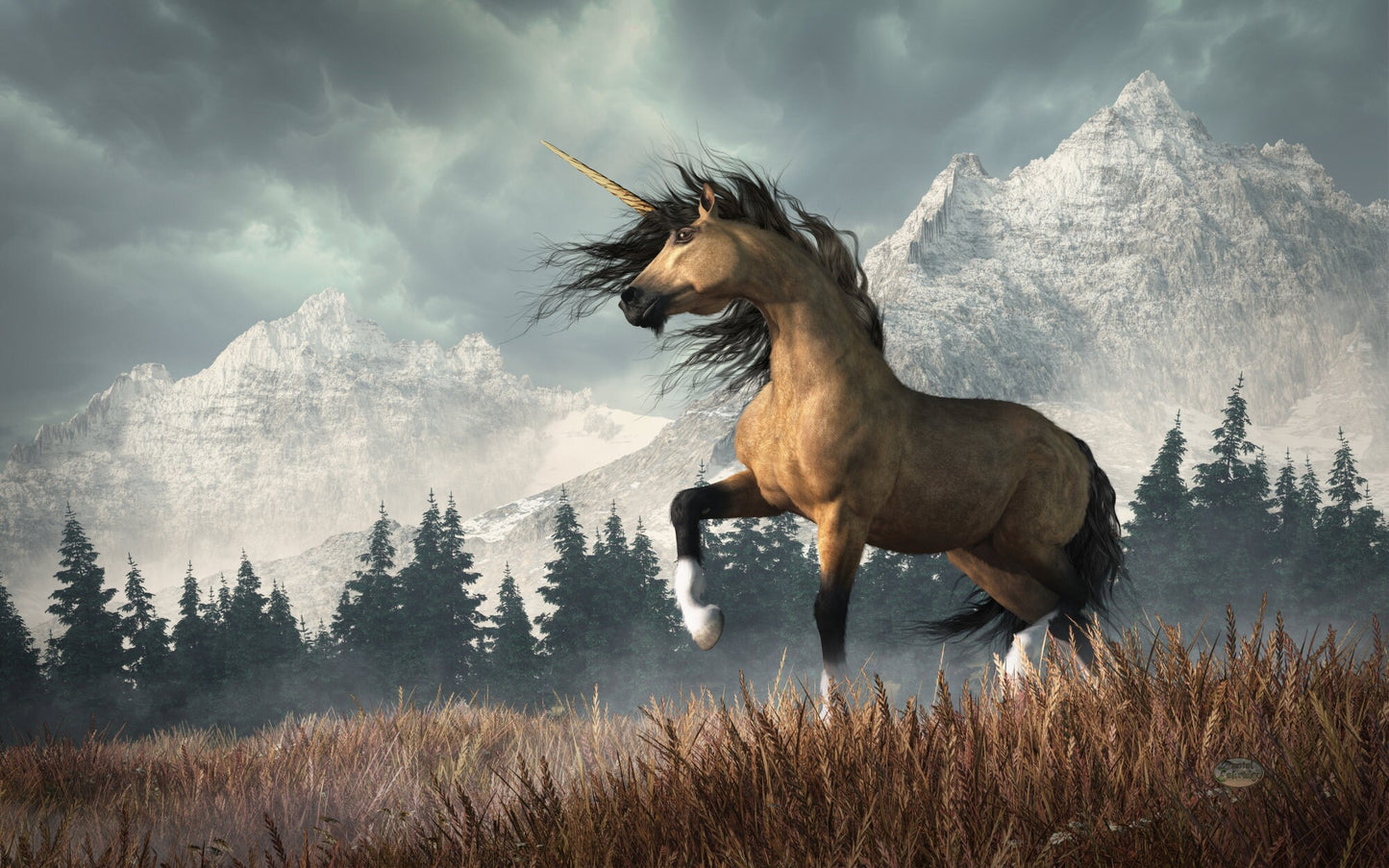 Buckskin Unicorn
