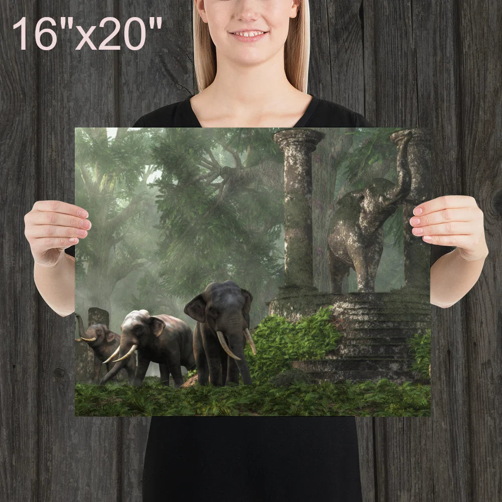 Elephant Kingdom