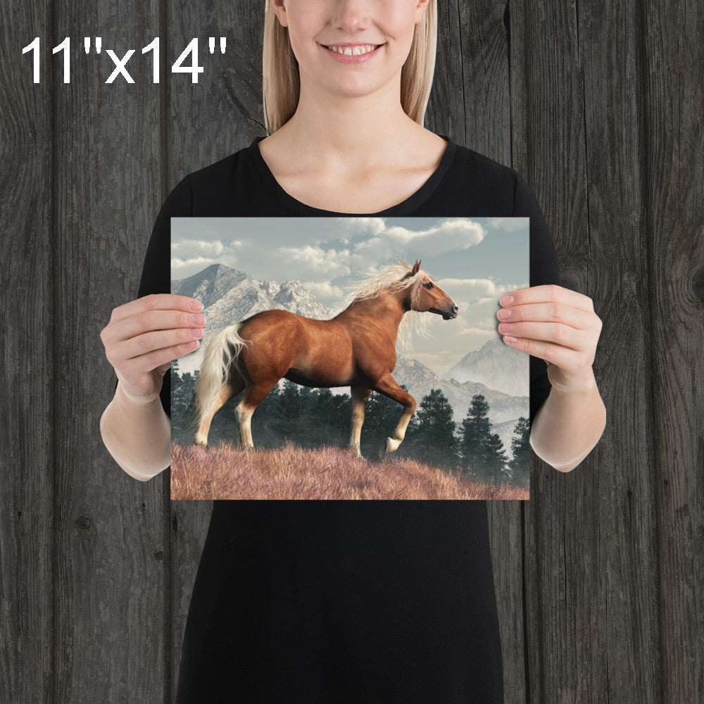 Wild Belgian Horse