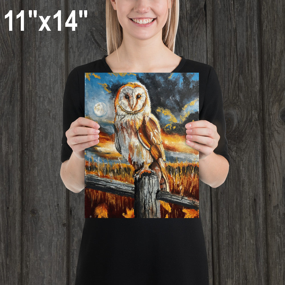 Barn Owl