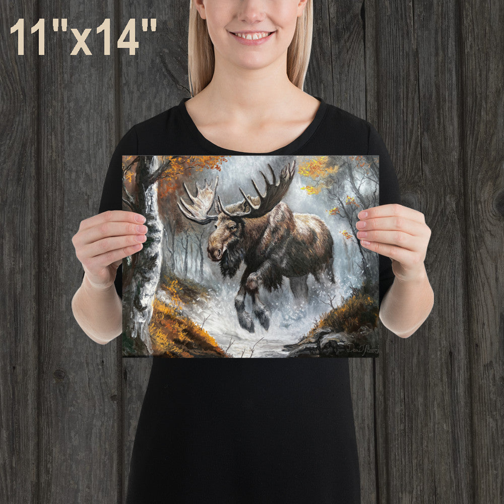 Moose in the Forest