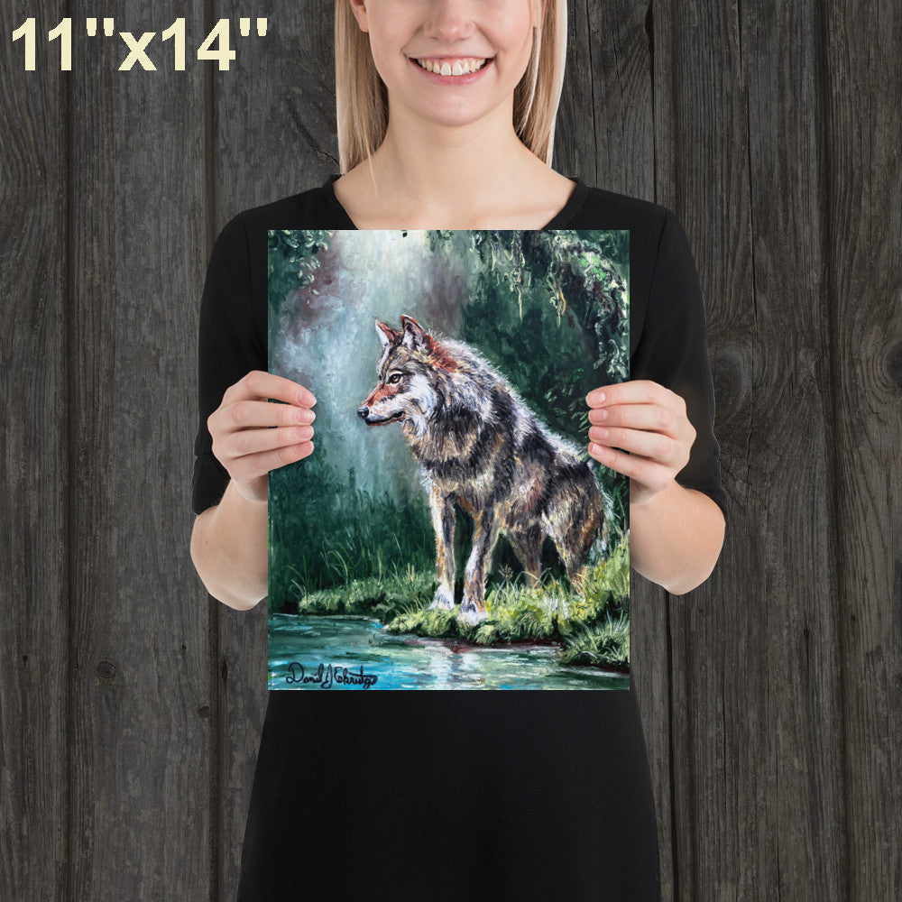 Wolf by a Forest Pond