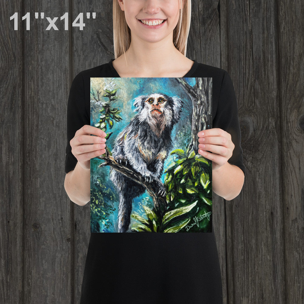 Marmoset