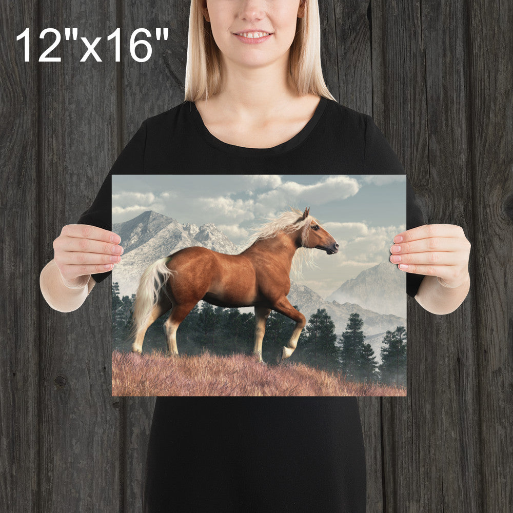 Wild Belgian Horse