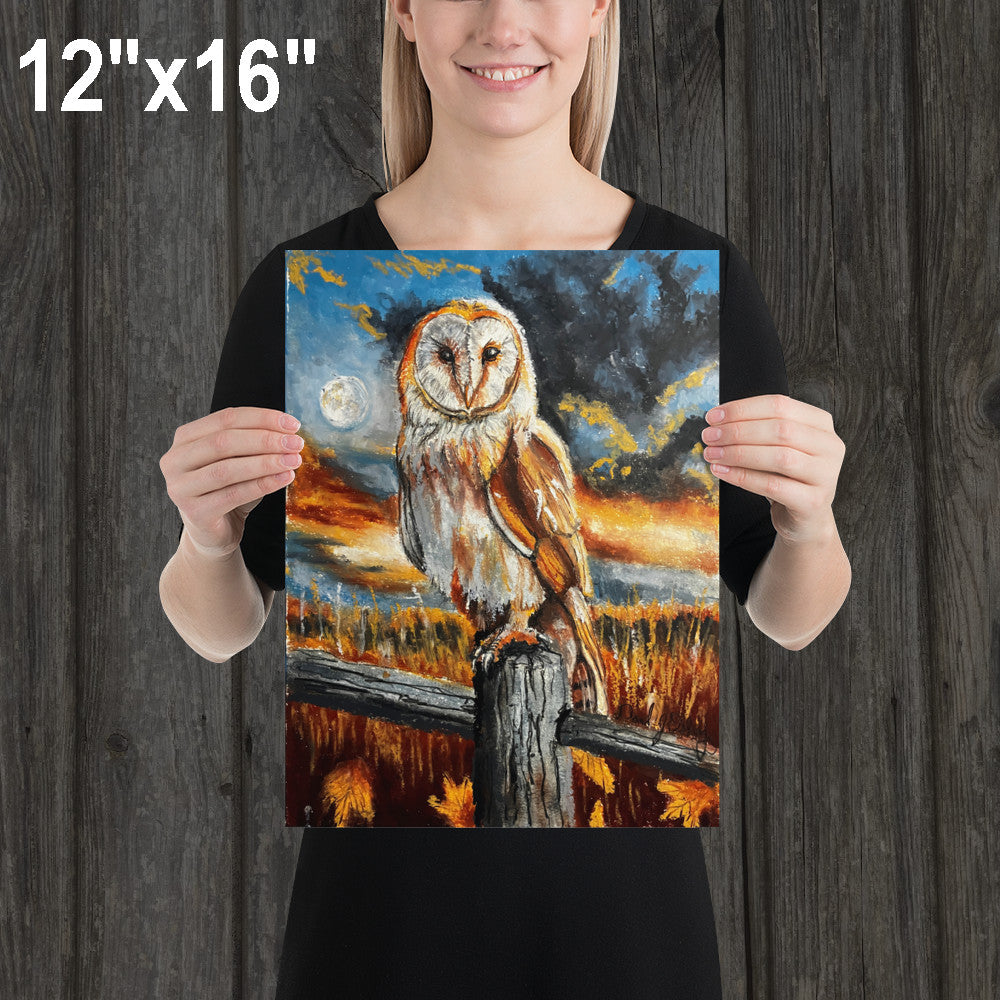 Barn Owl