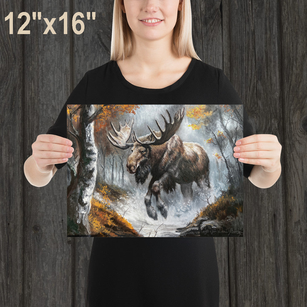 Moose in the Forest