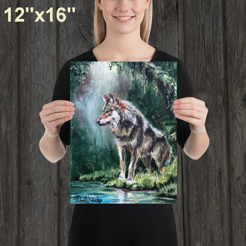 Wolf by a Forest Pond