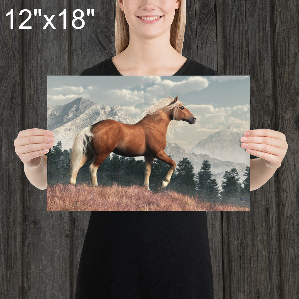 Wild Belgian Horse