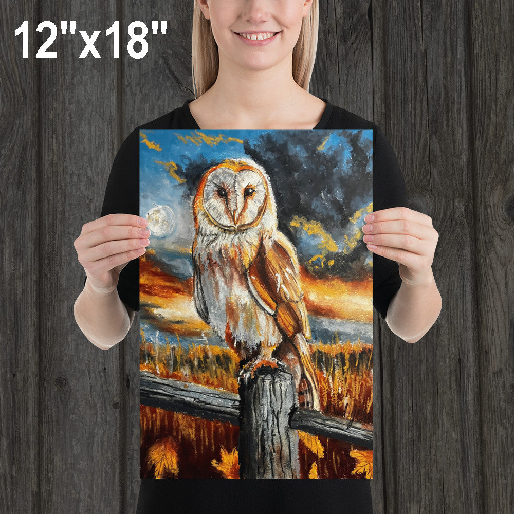 Barn Owl