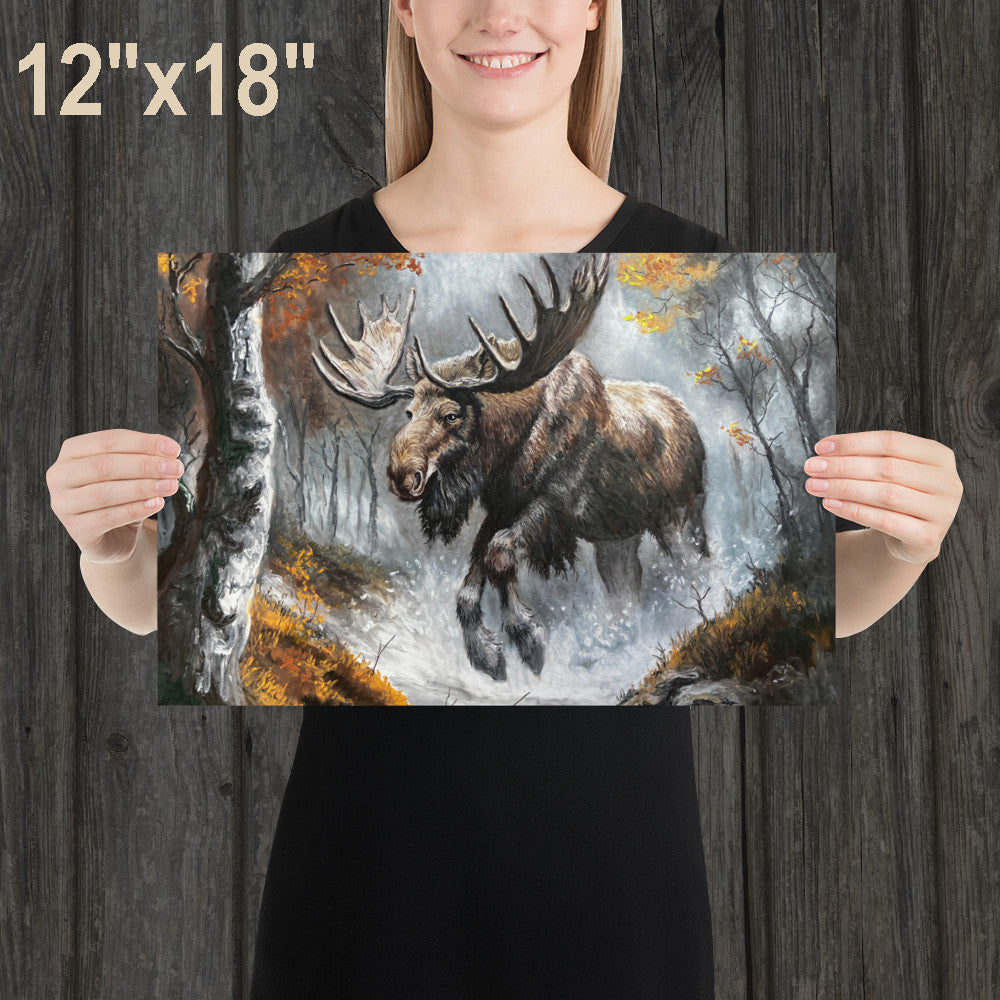 Moose in the Forest
