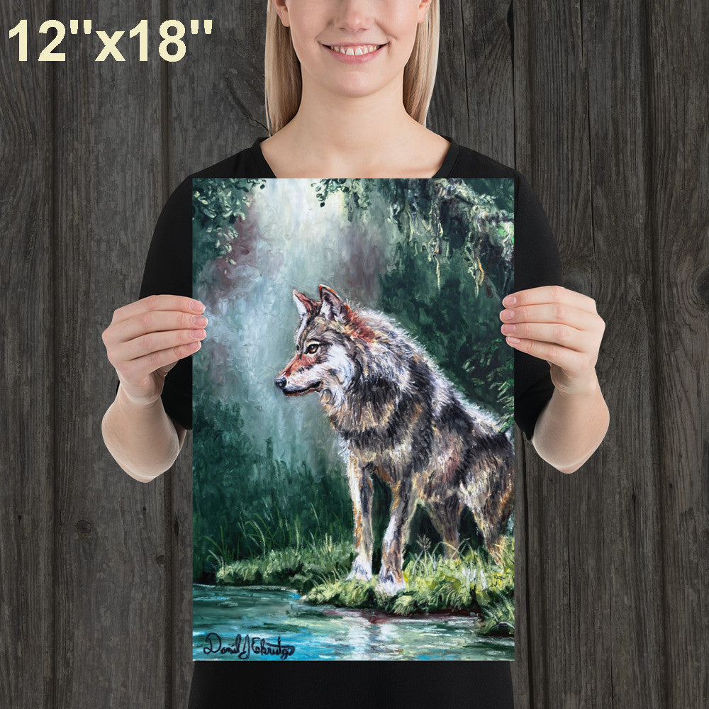 Wolf by a Forest Pond