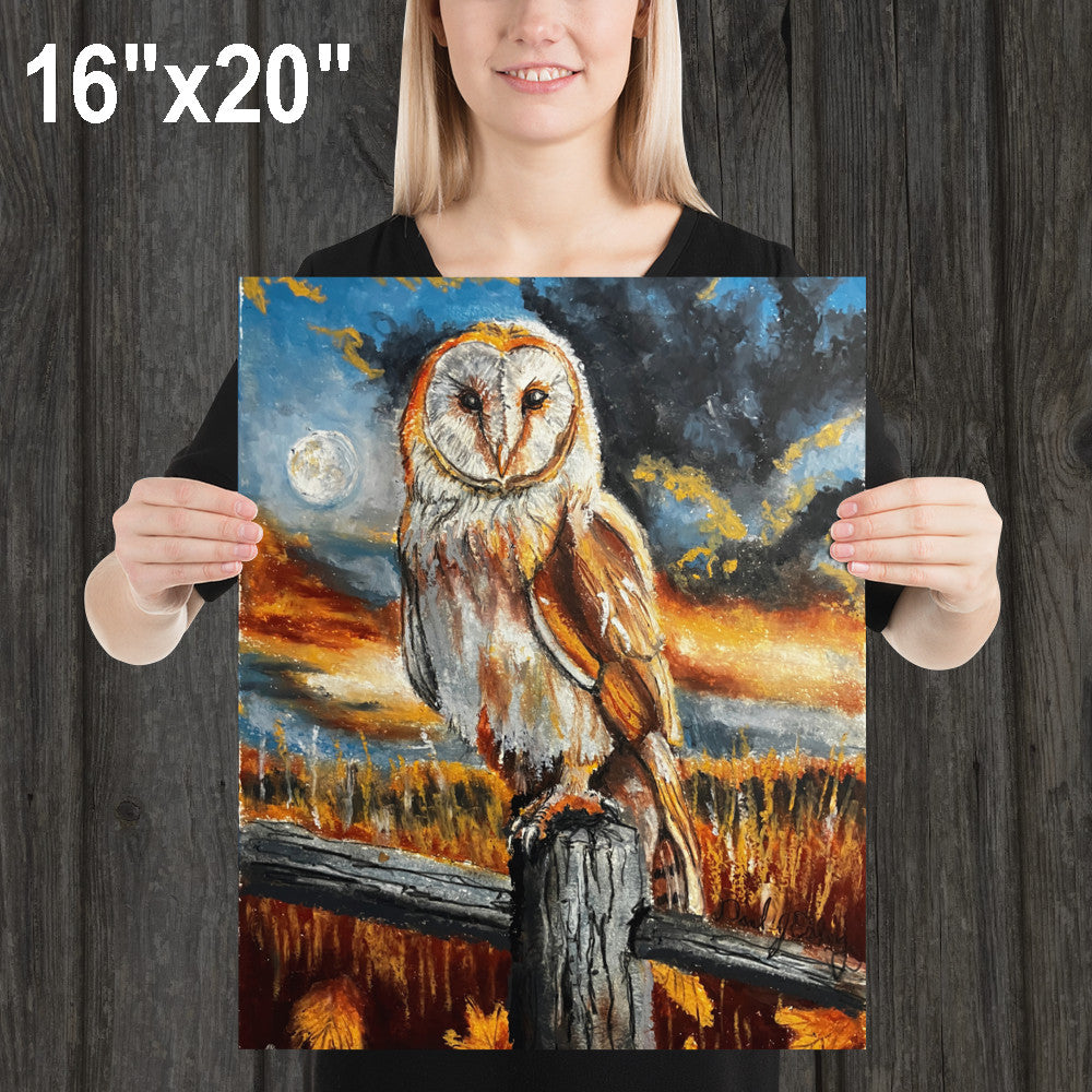 Barn Owl