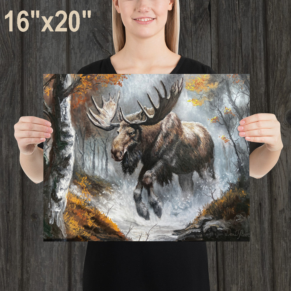 Moose in the Forest