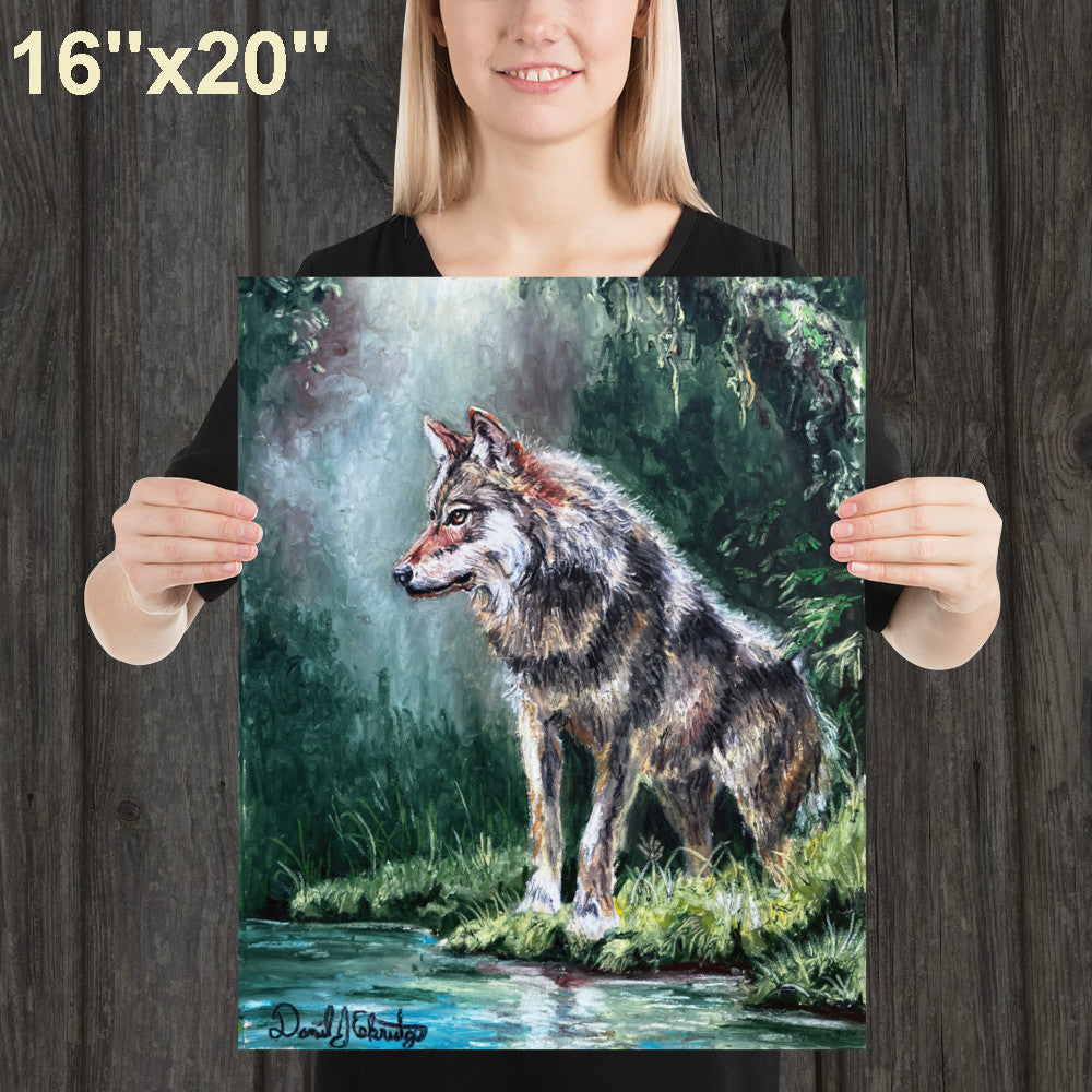 Wolf by a Forest Pond