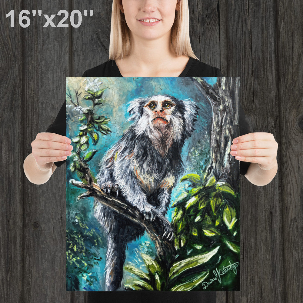 Marmoset