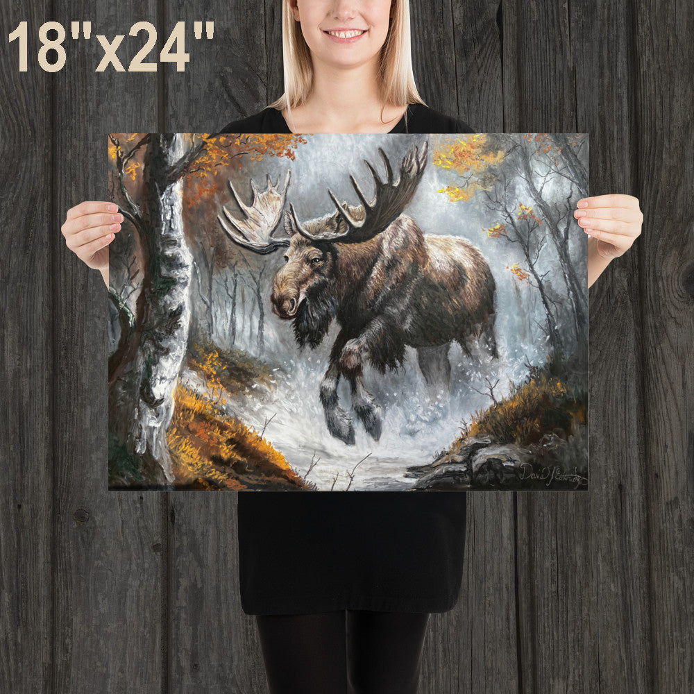 Moose in the Forest