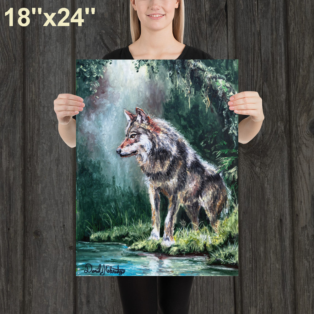 Wolf by a Forest Pond