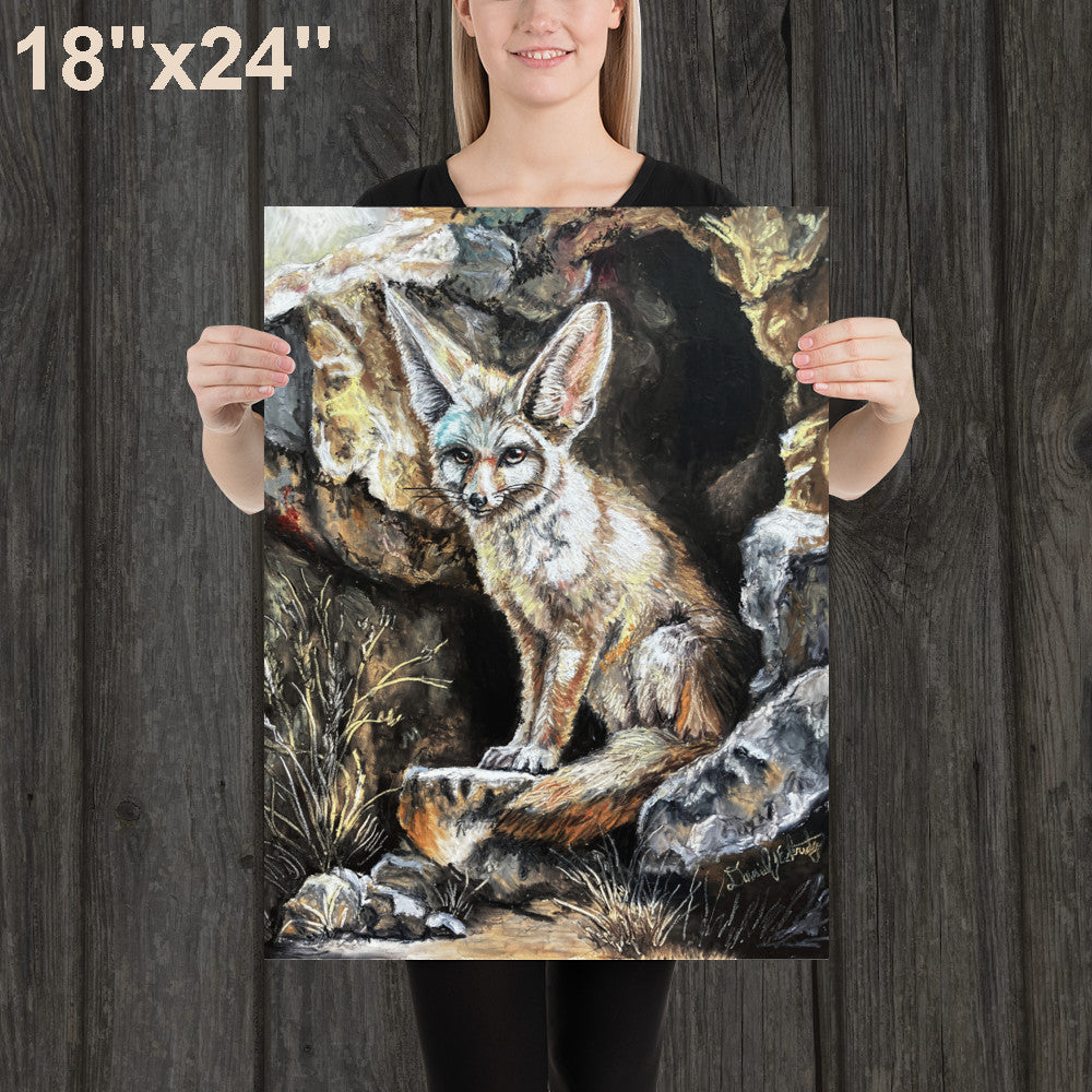 Fennec Fox