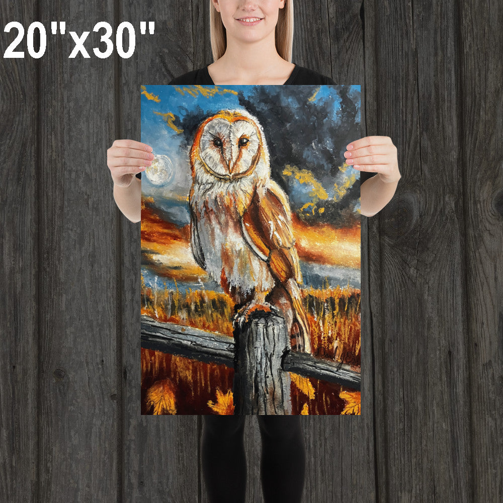 Barn Owl
