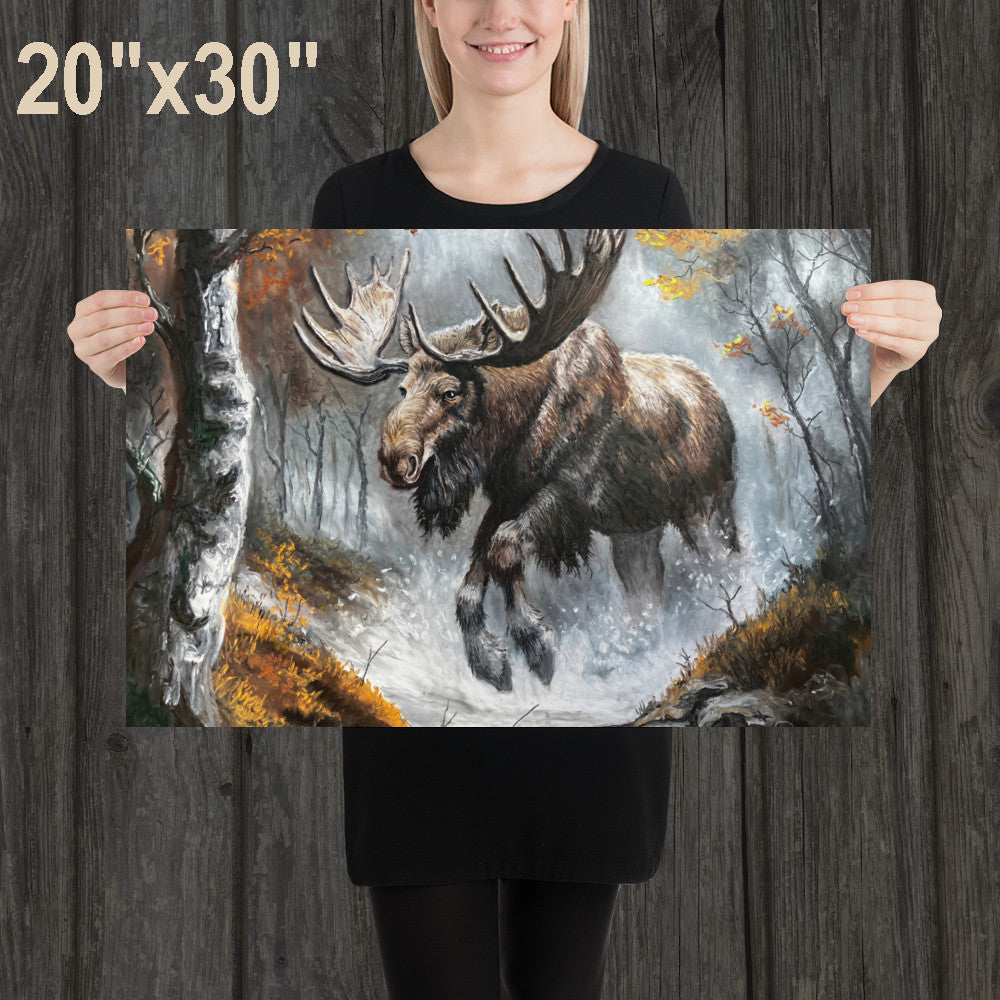Moose in the Forest