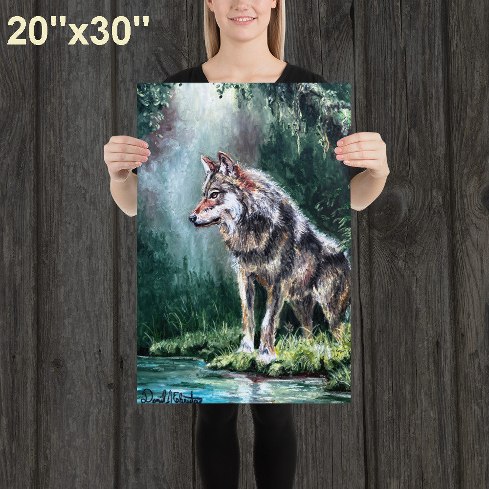 Wolf by a Forest Pond