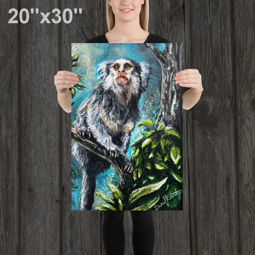 Marmoset